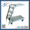 Ladder Trolley